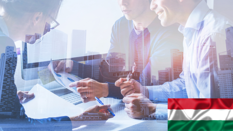 Raamatupidamis- ja raamatupidamisteenused Ungaris Internetis lihtsalt Ungari ettevõtte FIDULINK kaudu